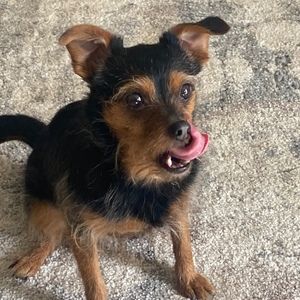 Meet your Posher, Kevin